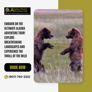 Alaska Wildlife Tours